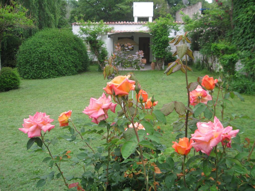 La Casa De Almirall Santa Rosa de Calamuchita Dış mekan fotoğraf